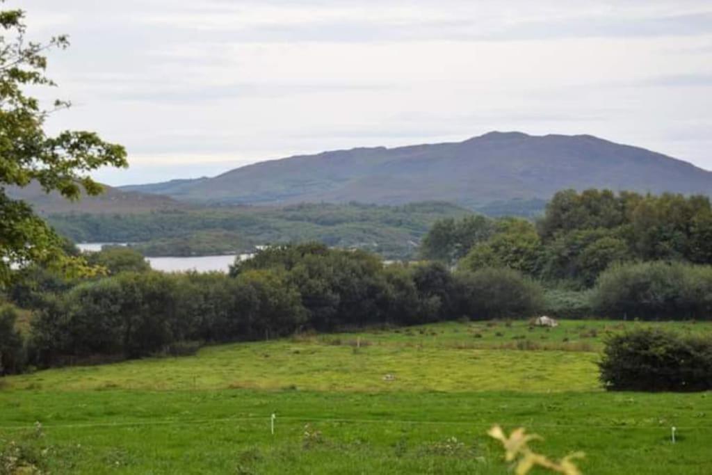 Twin Lake View - Bungalow In Pontoon Foxford Bagian luar foto
